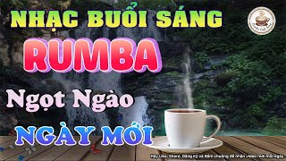 Liên Khúc Rumba Nghe Mãi 🍵 Tuyển Tập Nhạc Không Lời Cho Tâm Hồn Bình Yên [upl. by Brennen443]