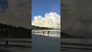 Patong beach early this morning filmed by quotNitquot with her phone 051024 shorts wildlife nature [upl. by Ranite399]