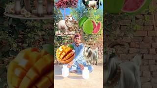 I collect healthy food 🍟 fruits🍍and halal animal🐐 islamicstatus shorts youtubeshorts vfxshorts [upl. by Stroud]