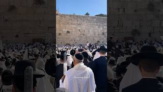 Traditional priestly blessing birkat kohanim in Sukkot at the Western Wall in Jerusalem 2024 [upl. by Hill939]