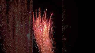 Traumhafter Feuertopf 🔥😱 fireworks feuerwerk pyro [upl. by Noslen770]