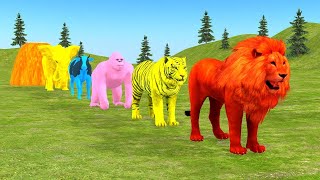 Long Slide Game With Elephant Gorilla Buffalo Hippopotamus Tiger  3d Animal Game  Funny 3d Animals [upl. by Johathan]