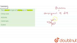 The alternate type of phyllotaxy is found in  12  MORPHOLOGY OF FLOWERING PLANTS  BIOLOGY  A [upl. by Rede727]