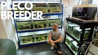 VISITING RARE PLECO BREEDERS FISH ROOM MUST SEE FISH ROOM TOUR [upl. by Ekal]