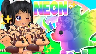 MAKING a NEON CHOCOLATE CHIP BAT DRAGON in ADOPT ME roblox WINTER UPDATE [upl. by Burkhart]