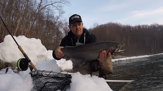 Steelhead fishing at first light [upl. by Mcroberts]