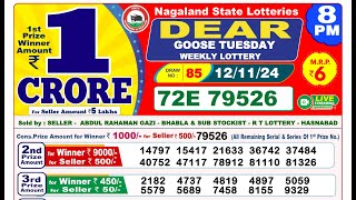 Lottery Result Today 8pm 12112024  Official  Sikkim Lottery [upl. by Retep124]