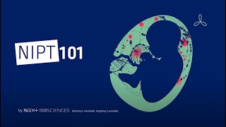 Next Biosciences  NIPT 101 [upl. by Aenel]