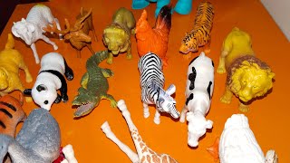 Zoo animals collection  plastic animals toys  zoo animals toys  animals shape and name live [upl. by Anyela]