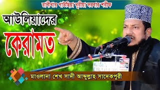 অলী আউলিয়ার ওয়াজ  Sheikh Sadi Abdullah Waz  মাওলানা শেখ সাদী আব্দুল্লাহ সাদেকপুরী  Fahim HD [upl. by Nnaeiluj]