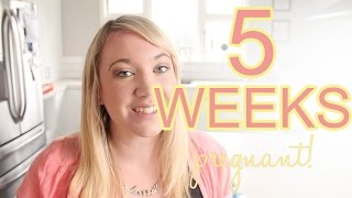 5 Weeks Pregnant  Hcg levels Midwife amp Weird dreams [upl. by Maje38]