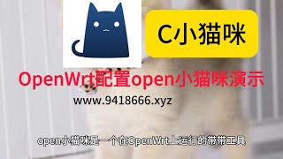 OpenWrt配置open小猫咪演示 [upl. by Reinaldos]