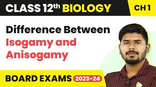 Difference Between Isogamy and Anisogamy  Class 12 Biology Chapter 1 NCERTNEET 202223 [upl. by Asert]