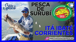 Pesca de surubí en el Alto Paraná Itá Ibaté Corrientes  Pousadas Puerto Paraíso [upl. by Hinda]