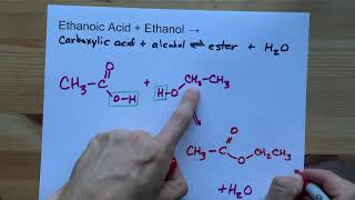 Carboxylic Acids Typical Acids and Esters  Organic Chemistry  Chemistry  FuseSchool [upl. by Rolph]