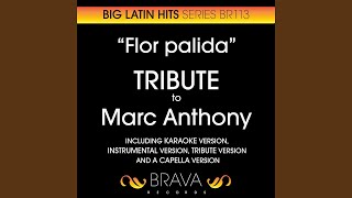 Flor Palida In The Style Of Marc Anthony Instrumental Version [upl. by Ferriter]