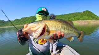 LOBINAS RECORD en ESTE TORNEO de PESCA en KAYAK Bacurato Sin [upl. by Witha]