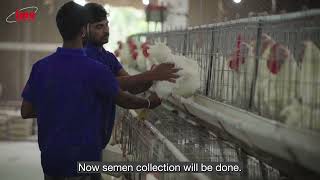 Ovodyl – Poultry Media Testimonial [upl. by Sakiv]