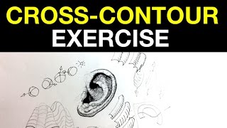 CrossContour Lines Exercise  Improve your crosshatching amp Ink drawing [upl. by Tlevesoor546]