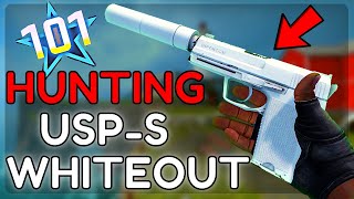 HUNTING 200 USPS Whiteout Factory New Operation Riptide stars [upl. by Alidis443]