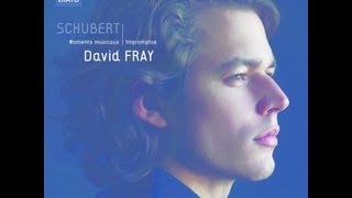 David Fray  Schubert Moments Musicaux Allegretto en do Mineur D915 Impromptus D899 [upl. by Buine]