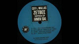 HNRV04 CEVs amp Wallas  Mood Zetbee Remix [upl. by Haynes]