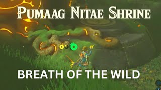 PUMAAG NITAE SHRINE  THE LEGEND OF ZELDA  BREATH OF THE WILD [upl. by Rotce578]