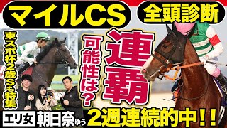 【マイルＣＳ2024】全頭診断！ナミュール連覇の可能性は？Ｃ評価でも侮れない穴馬を競馬記者が解説《東スポ競馬》 [upl. by Nairb129]