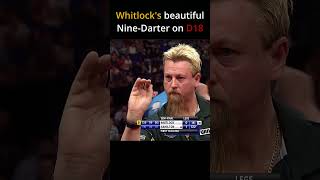 Premier League 9Darter by Simon Whitlock [upl. by Nichola513]