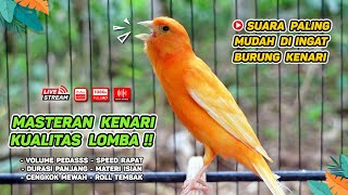 Kenari GACOR‼️ Masteran Burung Kenari PAUD dan Pancingan Kenari MACET BUNYI  EPISODE 1251 [upl. by Ynnal]