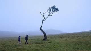 Hiking for 4 days in Madeira Portugal  4K HDR [upl. by Ahsian]