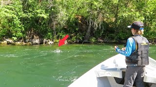 Fly Fishing and Floating the Rogue River Salmonfly Hatch EPIC Dry Fly Eats [upl. by Ysak]