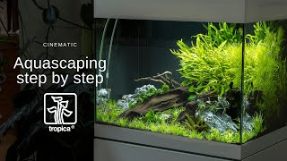 Planted Aquarium Aquascape Tutorial Step By Step  Cinematic [upl. by Lewendal]