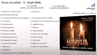 Madrigal  Jingle Bells [upl. by Pincas]