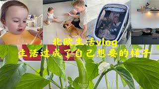 北欧生活vlog｜是我想要的生活呀！ [upl. by Nogas7]