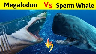 Megalodon Vs Sperm Whale  क्या समुद्र का सबसे बड़ा shark मार पायेगा इस खूंखार Whale को [upl. by Erda381]