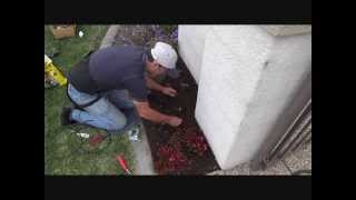 How to install drip irrigation inline bubblersPart 1 [upl. by Sonitnatsnoc]