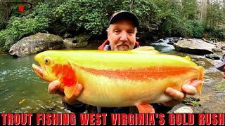 Trout Fishing West Virginias Gold Rush [upl. by Lamori]