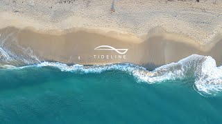 Tideline Resort  A LUXURY PALM BEACH RESORT  2024 [upl. by Narih]