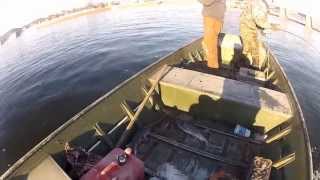 40lbs Paddlefish Spoonbill caught in Iowa [upl. by Toshiko]