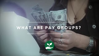 What are Pay Groups [upl. by Spense]