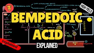 BEMPEDOIC ACID Mechanism of action Pharmacology of Lipid lowering drugs [upl. by Cash]