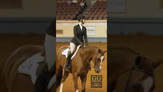 AQHYA World Show 2024  L3 Hunt Seat Equitation 1418 [upl. by Sesom]