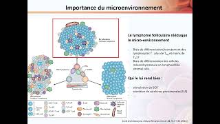 Cours dintroduction au DES sur le lymphome folliculaire  Epidémiologie et biologie [upl. by Douville]