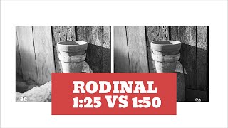 Rodinal 125 vs 150 [upl. by Eidnas]