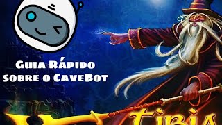 Guia CaveBot Tibia Canob 2022 [upl. by Salvador588]