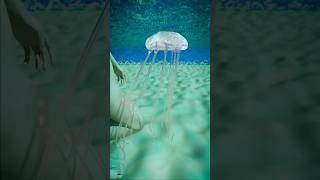 How A Jellyfish Actually Stings You 😱  Melon Playground jellyfish [upl. by Shulem]