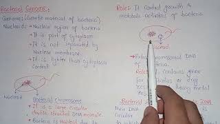 Bacterial Genome  Nucleoid Structure And Functions  Class 11 [upl. by Eidnas]