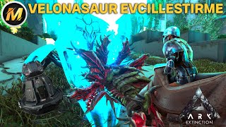 VELONASAUR EVCİLLEŞTİRME I ARK SURVİVAL EVOLVED EXTİNCTİON I BÖLÜM 6  MODSUZ [upl. by Natan55]