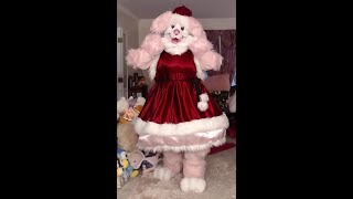 Frufru Holiday Poodle Full suit video [upl. by Fawne]